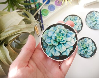 Vinyl Succulent Stickers, Vinyl Stickers, Laptop Stickers, Original Artwork, Succulents, Journaling, Scrapbooking, Garden, Nature,
