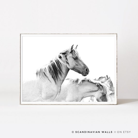 Horse print black and white horse prints horses wild