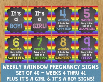 Rainbow baby sign | Etsy