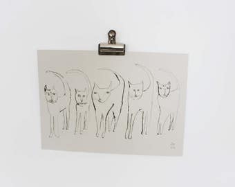 Five Cats in Ink | REDUCED