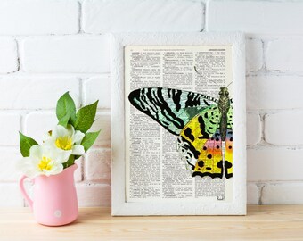 Summer Sale Butterfly detail Book print art - Hand painted Butterfly - Upcycled book page Art Dictionary book print BFL102b