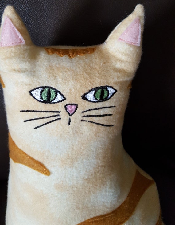 cat with anime pillow