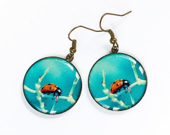 Blue earrings Ladybug earrings Dangle earrings Brass earrings Turquoise earrings Turquoise jewelry Insect jewelry Resin jewelry Gift-for-her