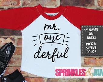 Mr Onederful Shirt Boys, 1st Birthday Boy Outfit, First Birthday Shirt Boy, Boys First Birthday Outfit
