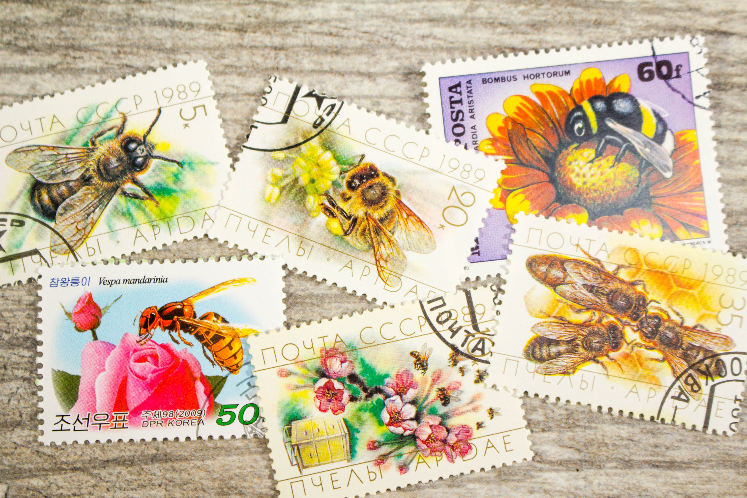 6 x Vintage Bee Stamps Postage Honey Flower Botanical All