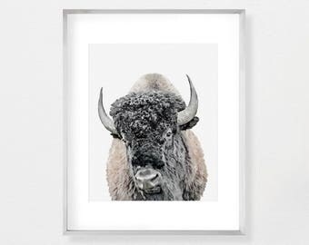 Buffalo Print, Bison Wall Art, Kids Room Decor, Boys Room Poster, Modern Minimal, Digital Download, Printable Buffalo, Watercolor Print