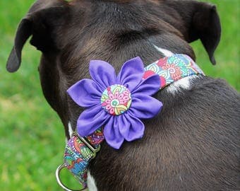 Purple dog collar, flower dog collar, thick dog collar, wide martingale dog collar, thick dog collar, extra large dog collar, girl collar