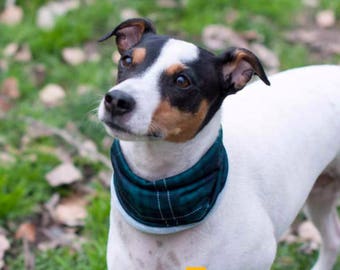 BRITISH Plaid Dog Scarf: dog neck. Unique Dog Cowl Made in Barcelona. Thin material for all seasons.