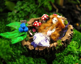 Miniature Sleeping Fairy-Nutshell Miniatures-Faries-Nutshells-Faeries-OOAK