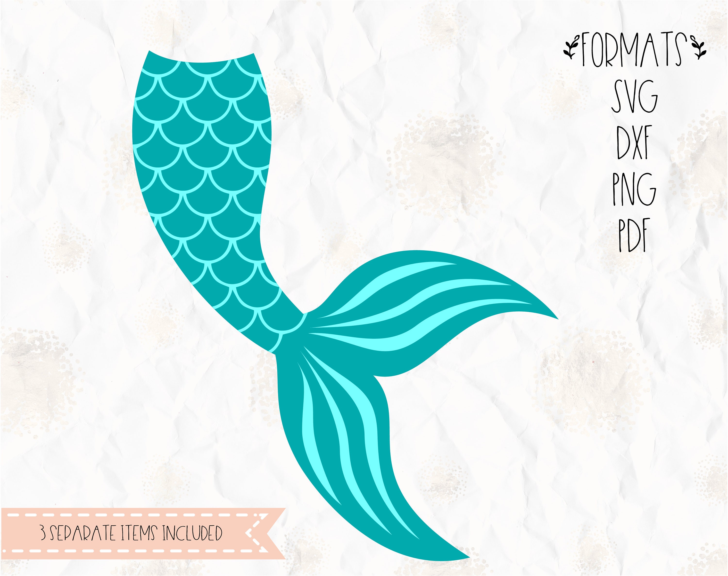 Download Mermaid tail, clam, shell SVG (layered), PNG, DXF for ...