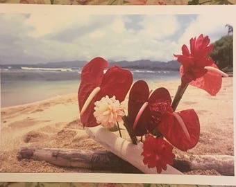 Exotic Flowers on Beach