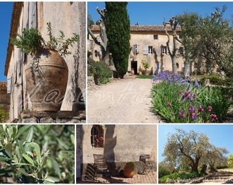 Photo 30X40cm memory of a vineyard wine Bandol var