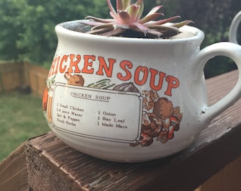 Chicken, Tomato, and Onion soup mugs with Succulents