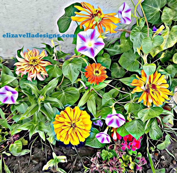 summer flowers in bloom here in Montana
