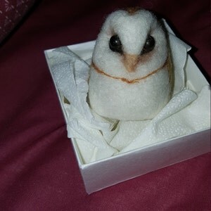 Buyer photo Adam Connett, who reviewed this item with the Etsy app for Android.