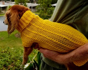 PDF Download Knit Pattern for Miniature Dachshund Dog Sweater