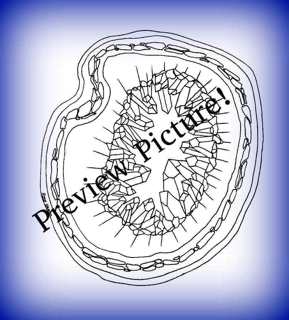 PDF Crazy Crystal and Geode packet