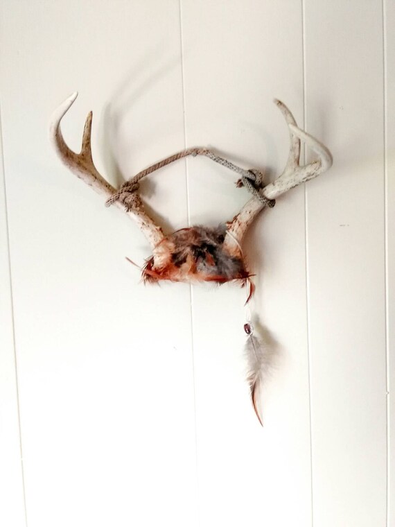 Bohemian deer head wall hanging Feather animal skull Real