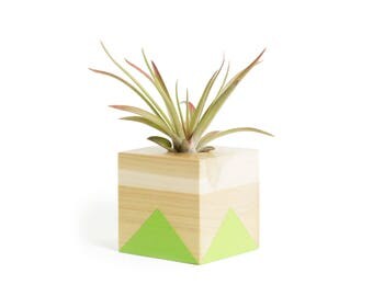 Green Air Plant Pot, FREE SHIPPING, Air Plant Office, planter, air plant holder, air planter, shelf decor, air plants, indoor planters