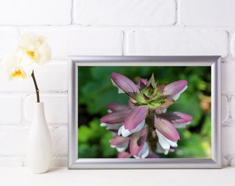 Purple Flower Wall Art purple flower print | etsy Purple Flower Wall Art purple flower print | etsy