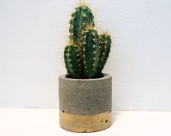 Concrete planter | Gold plant pot cement | round cactus succulent planter golden trim