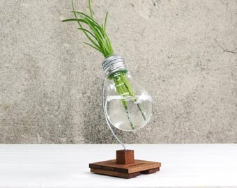 Terrarium Vase, Desk Decor, Plant Vase, Lightbulb Vase - BETA - Reed Diffuser, Flower Holder, Lightbulb Terrarium, Wooden Gift, Small Decor