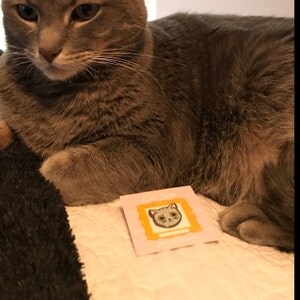 Buyer photo Liam K Ralphie, who reviewed this item with the Etsy app for iPhone.