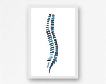Vertebrae Print - Physical Therapy Gifts - Physician Gifts - Spine Art Print - Chiropractic - Chiropractor - Chiropractor Gifts - Anatomy