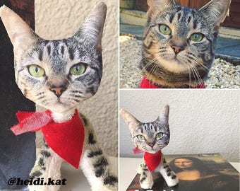 Personalized Pet- Stuffed Cat Toy
