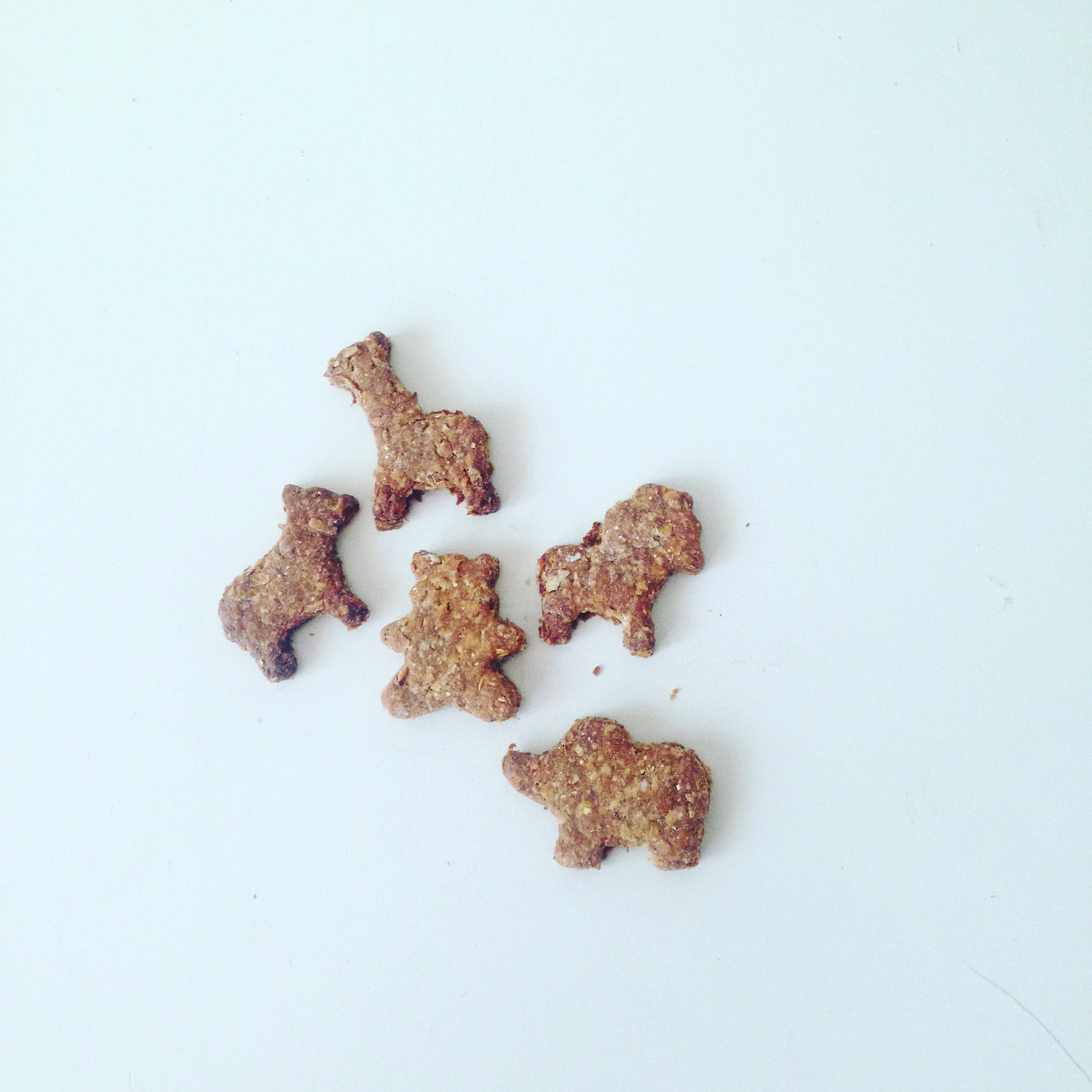 Animal Crackers Organic Dog Treats