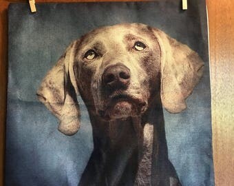 Weimaraner pillow cover