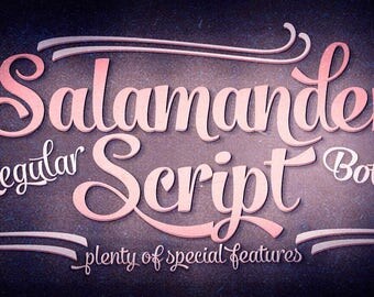 Calligraphy font download, Digital font, Thick cursive font, Wedding font, Calligraphy typeface, instant download, Salamander Script