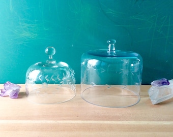 Two Etched Glass Cloches. Vintage Glass Dome Display. Pretty French Country Farmhouse Style, Leaf Design. Glass Bell Jar. Cheese Dome Cover.