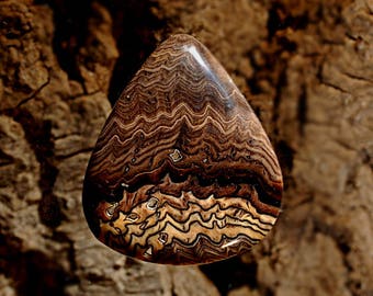 Hell's Canyon Petrified Wood Cabochon, Handmade Designer Cabochons by MagicStones