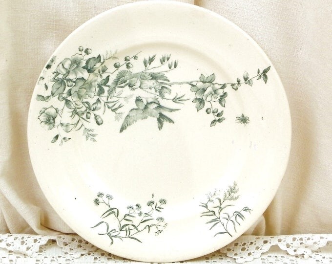Antique French Ceramic Bird Pattern Plate, Dark Blue on White Blue Tits with Wild Rose Design, Victorian Decorative Dinnerware