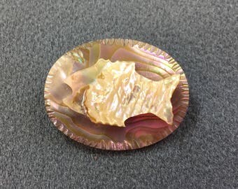 Victorian Carved Abalone Fish Brooch. Free shipping