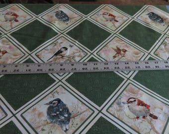 Birds - Garden Melodies by Giordano Studios for SPX Fabrics - cotton fabric - sold by the yard
