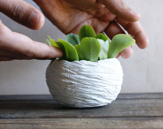 Stoneware vase Ceramic planter Succulent planter,Ceramics & pottery, Planter flower, Best gift for mom, Ccti pot White pots Clay pots 6.8 oz