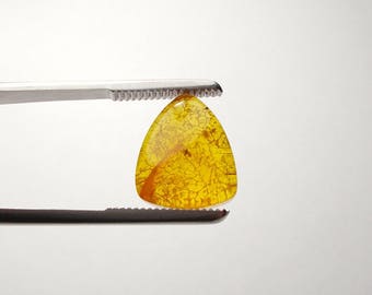 3,40 Cts. Natural Baltic Amber with insect Naturel ambre de la Baltique ナチュラルバルト琥珀 Ámbar Báltico natural Loose Gemstones Ambra Naturale