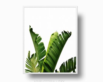 Banana leaf print | Etsy