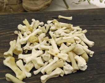Witchcraft supply witch animal bones dry chicken bones spellcraft occult pagan art _ SET of 100 miniature chicken bones