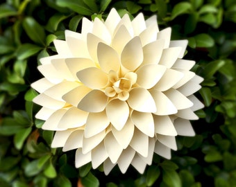 SVG and PDF 8 inches Dahlia Paper Flower template, backdrop flower, big paper flower SVG cut file, flowers pattern link to video tutorial