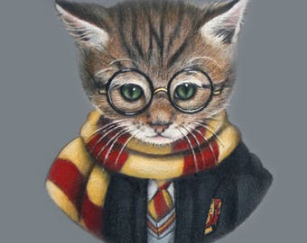  Harry potter cat  Etsy
