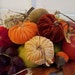 6 Mini Silk Velvet Pumpkins with real Pumpkin Stems - #1719