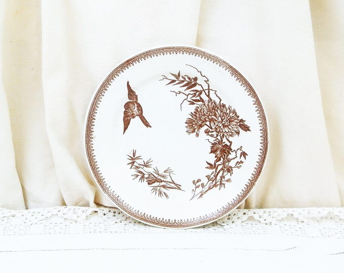 Antique French Plate Bird and Flower Pattern in Chocolate Brown on White Glaze by FF Pexonne Badionviller, Victorian Plate from France, 1880