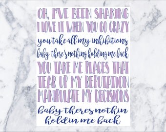 There’s Nothing Holdin’ Me Back - Shawn Mendes - Lyric Drawing