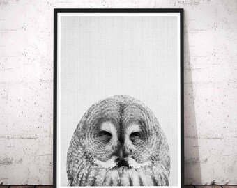 Owl Print, Funny Bathroom Decor, Woodland Nursery Wall Art, Forest Animal Wall Decal, Baby Shower Gift, Baby Animal Print, Kids Large Poster