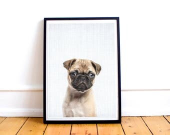 Pug dog Downloadable Print Wall Art, Nursery Decor, Safari Animal, Printable Digital Download, Modern Minimalist Kids Room Poster