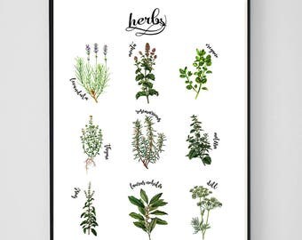 Herbs Print, Kitchen Print, Kitchen Wall Art, Herbs Art, Kitchen Decor, Instant Download, Botanical Print Herb Poster Kitchen Art Print A2