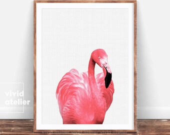 Flamingo Print, Flamingo Art, Tropical Wall Art, Printable Flamingo, Flamingo Poster, Beach Decor, Art Print, Flamingo Photo, Pink Flamingo